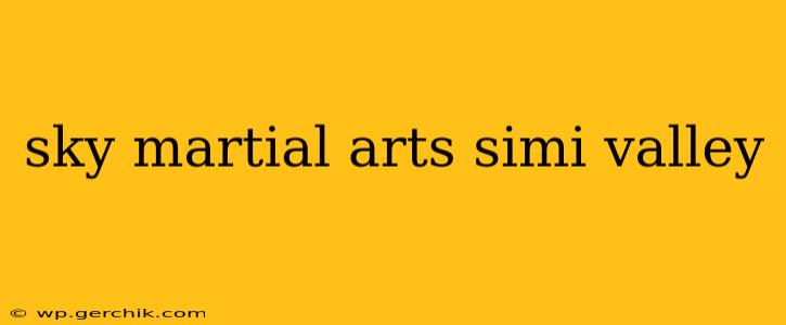 sky martial arts simi valley