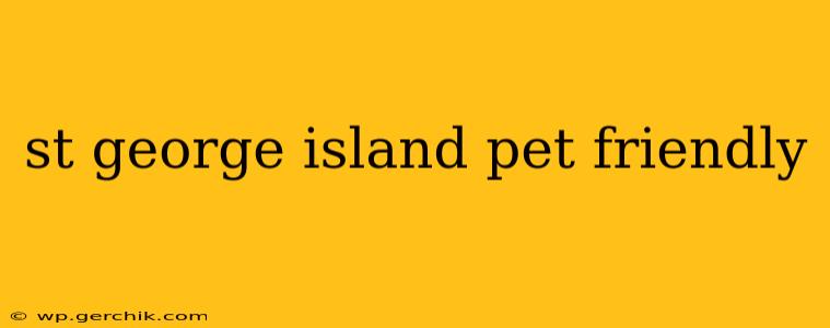 st george island pet friendly