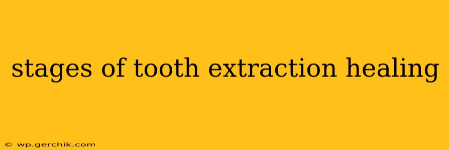 stages of tooth extraction healing