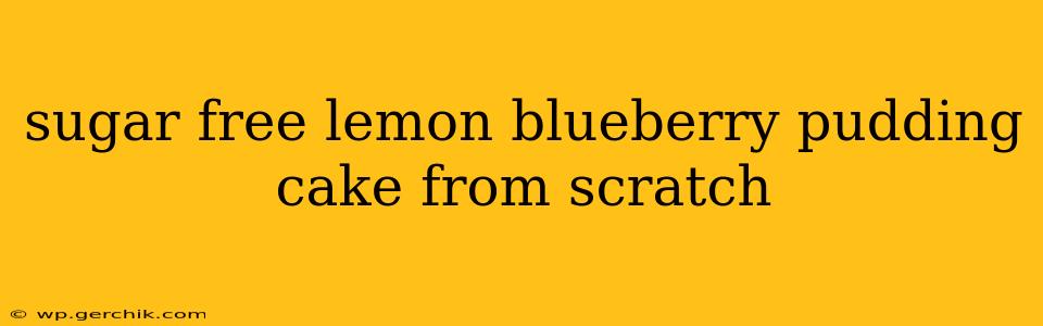 sugar free lemon blueberry pudding cake from scratch