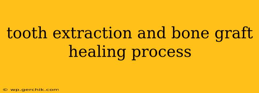 tooth extraction and bone graft healing process