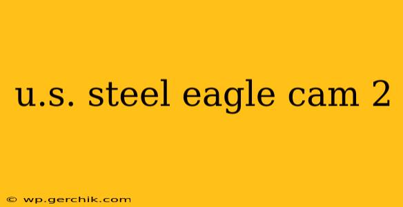 u.s. steel eagle cam 2