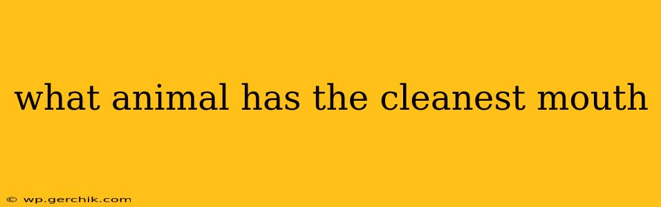 what animal has the cleanest mouth
