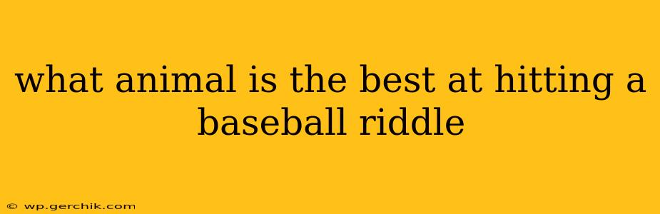 what animal is the best at hitting a baseball riddle