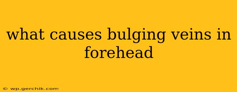 what causes bulging veins in forehead