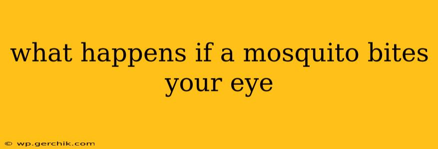 what happens if a mosquito bites your eye