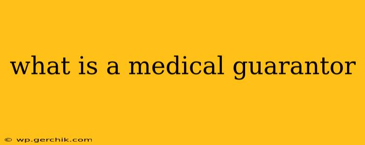 what is a medical guarantor