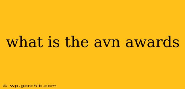 what is the avn awards