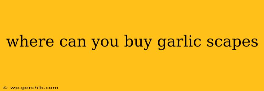 where can you buy garlic scapes