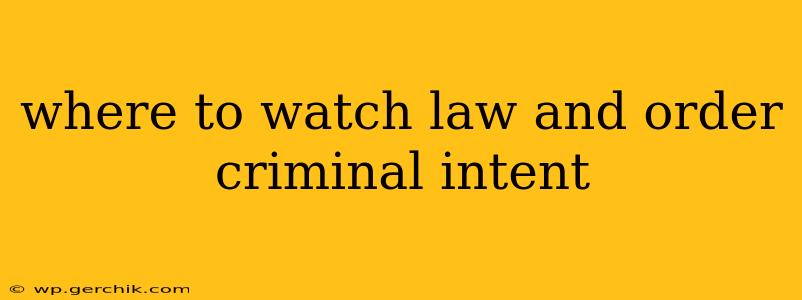 where to watch law and order criminal intent