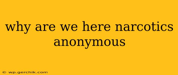 why are we here narcotics anonymous