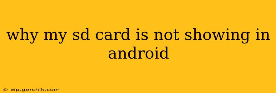why my sd card is not showing in android