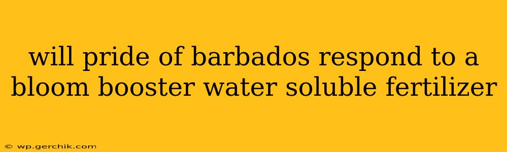 will pride of barbados respond to a bloom booster water soluble fertilizer